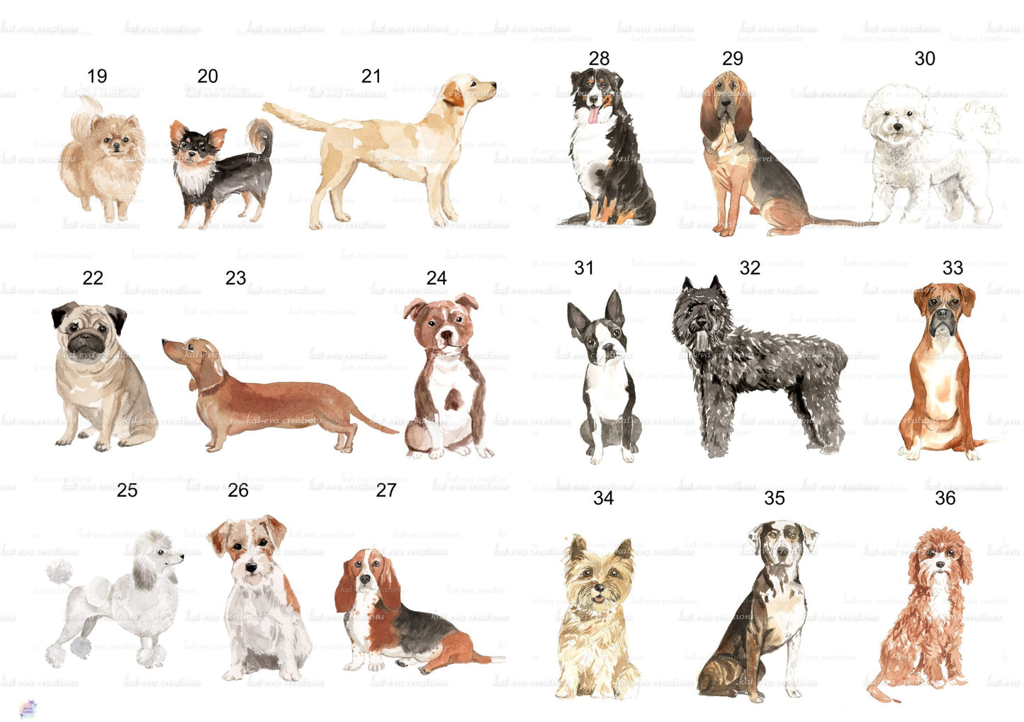 personalised dog mug, lots of dogs available, spaniel, cockerpoo, labrador, poodle, bulldog, collie, yorkie, terrier and more