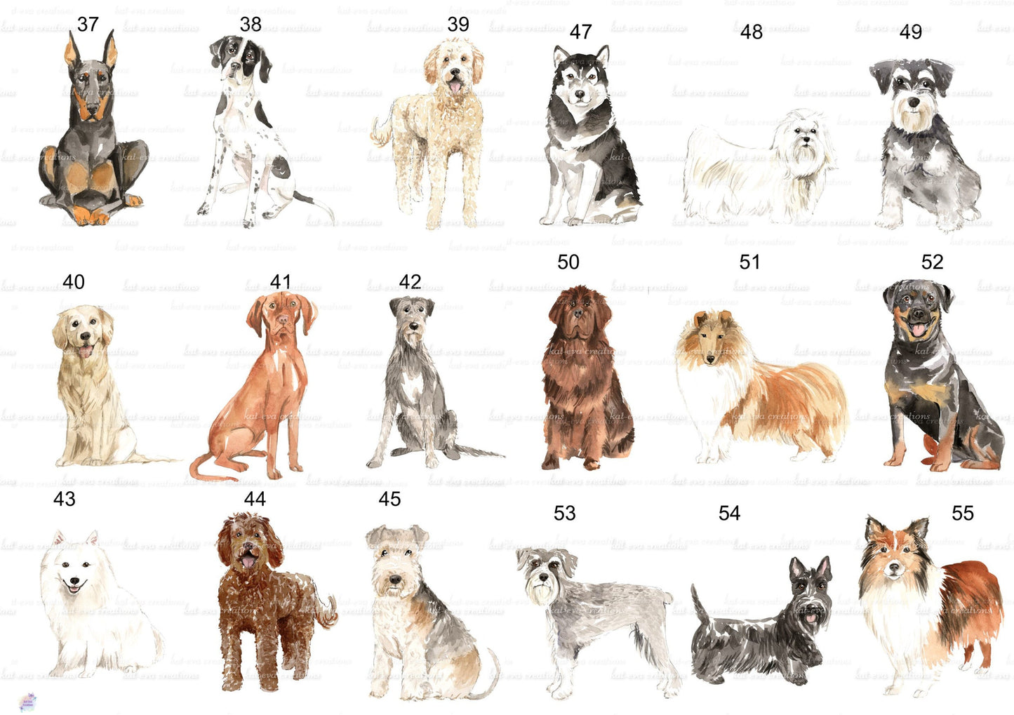 personalised dog mug, lots of dogs available, spaniel, cockerpoo, labrador, poodle, bulldog, collie, yorkie, terrier and more