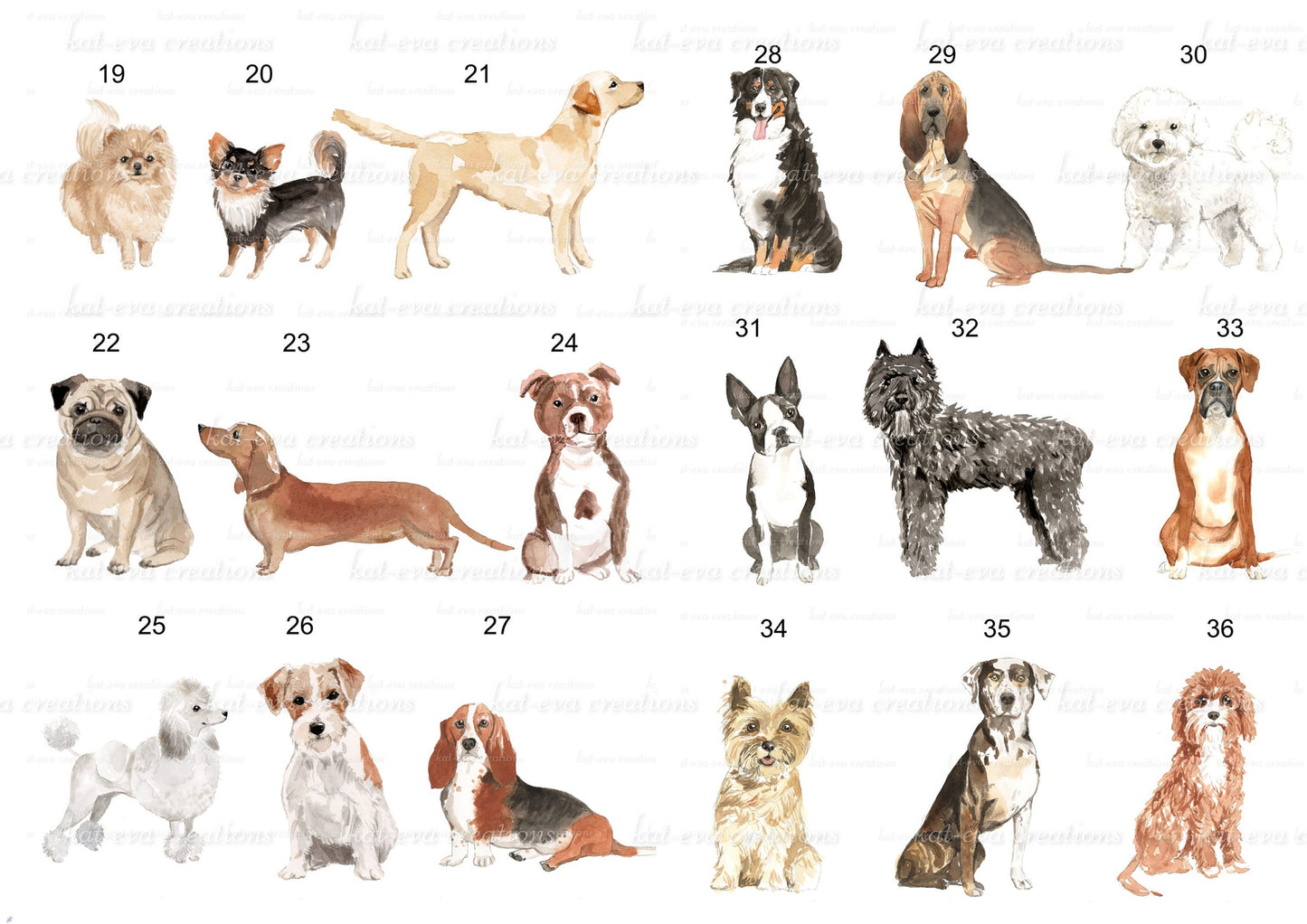 Personalised dog cushion. Lots of breeds available. spaniel, poodle, bulldog, and more