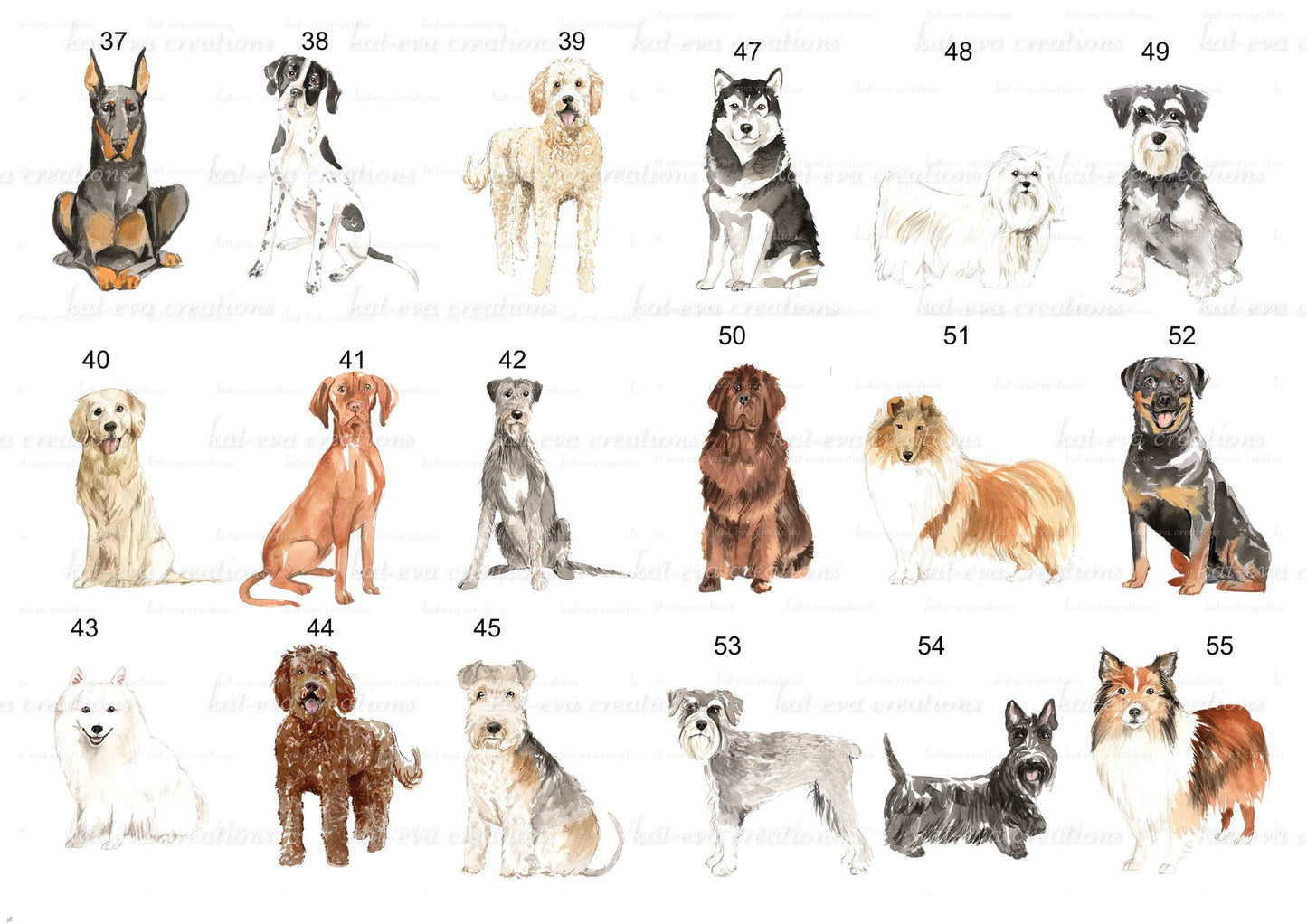 Personalised dog cushion. Lots of breeds available. spaniel, poodle, bulldog, and more