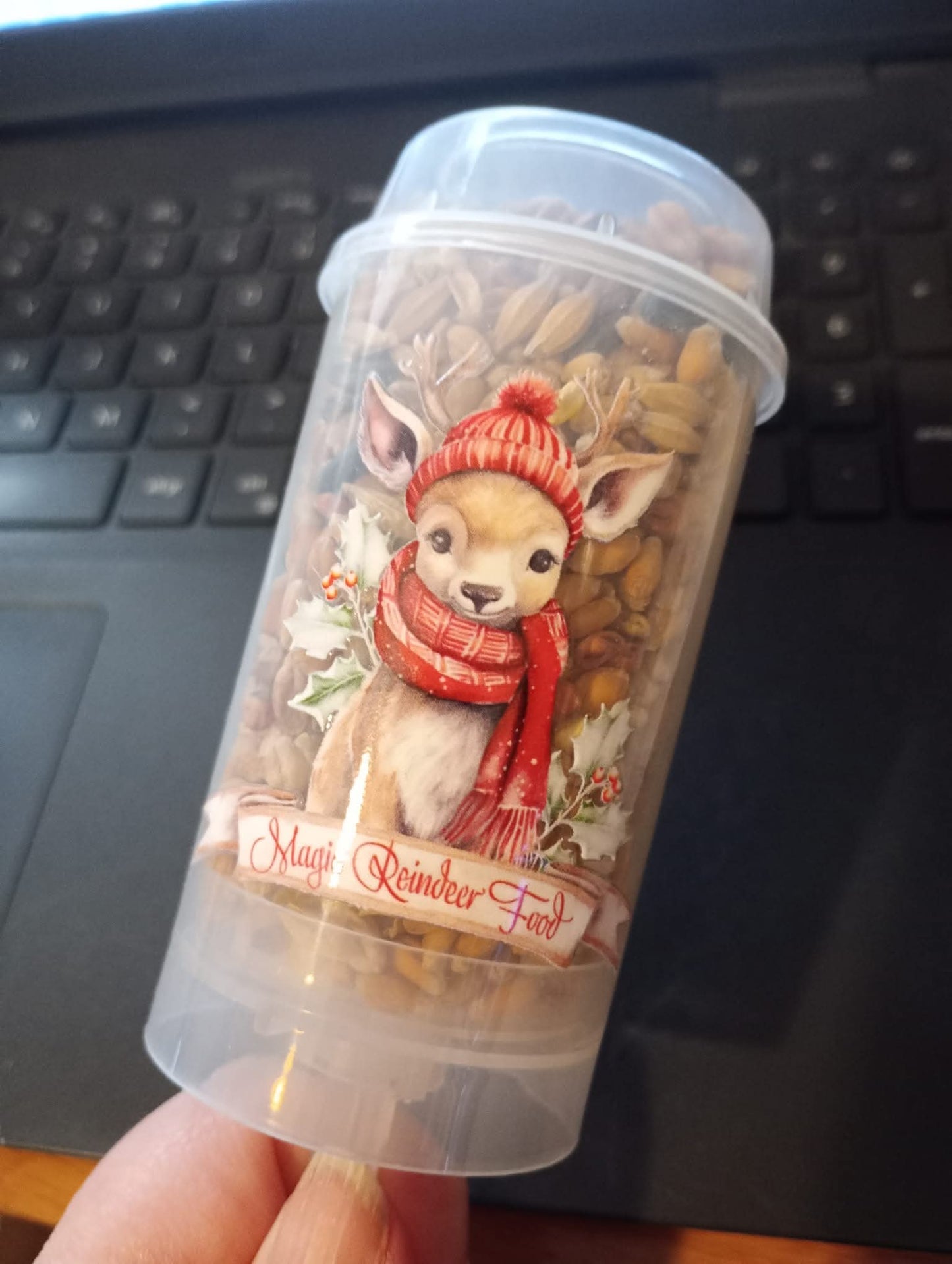 Reindeer food