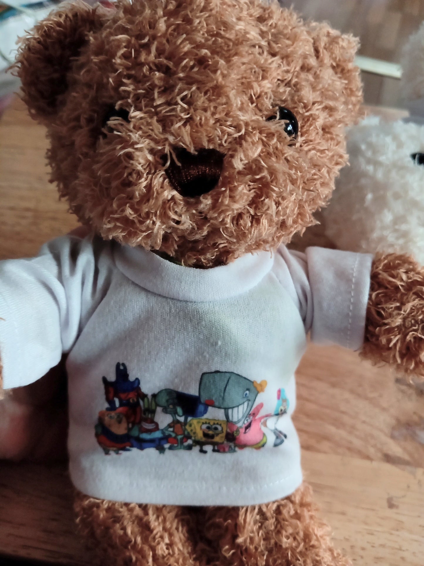 Sb teddy
